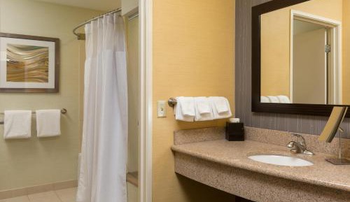 One-Bedroom King Suite