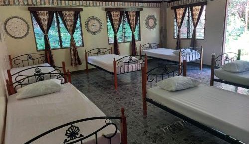 Bed in 6-Bed Mixed Dormitory Room