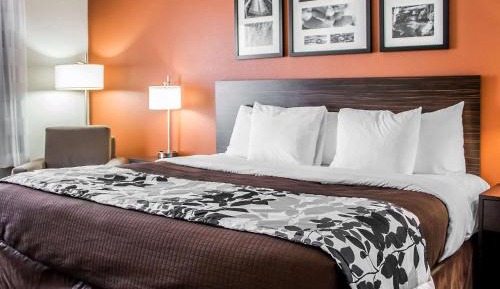 King Room - Non-Smoking