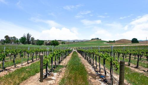 Four bedroom holiday home 