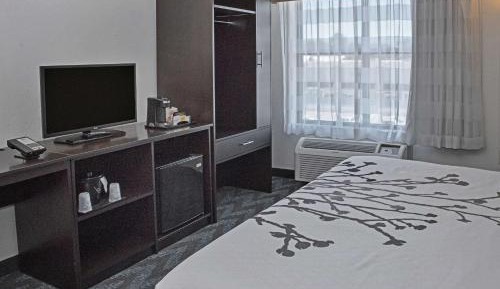 King Room with Roll-In Shower - Disability Access/Non Smoking