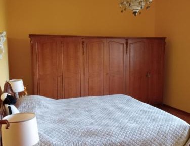 Deluxe Double or Twin Room with Garden View