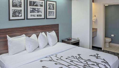 King Room - Non-Smoking