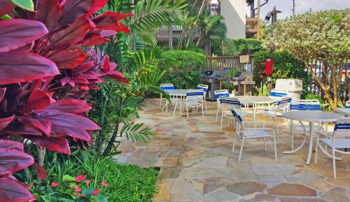 One Bedroom Apartment