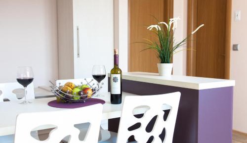 One-Bedroom Apartment with Terrace