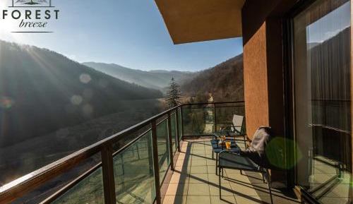Apartment with Mountain View
