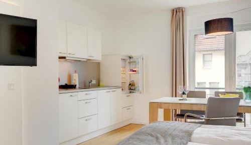 Large One-Bedroom Apartment