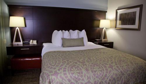 One-Bedroom Queen Suite