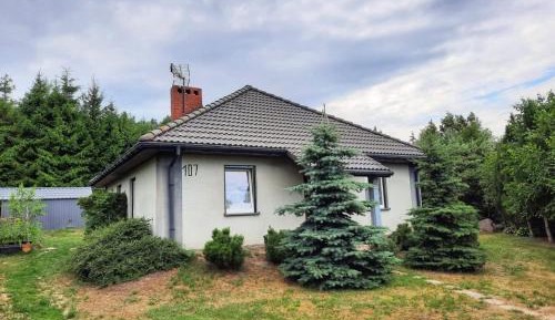 Standard Villa