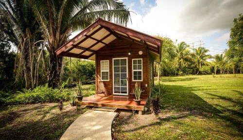 Studio with Garden View