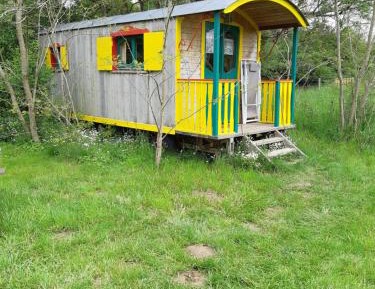 Mobile Home