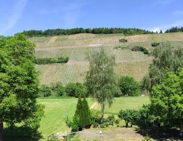 Family Room - Top Floor