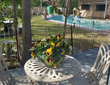 Double Room with Pool View