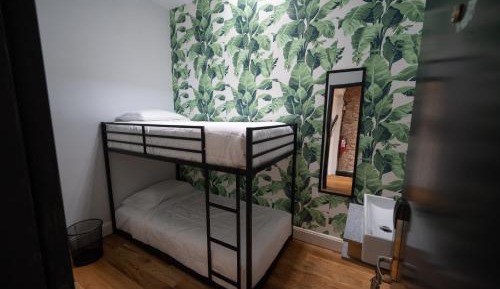 Double Room with Shared Bathroom