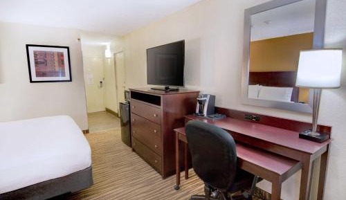 Standard King Room
