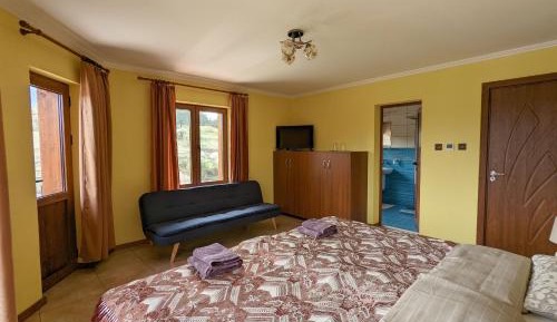 Deluxe Double or Twin Room with City View