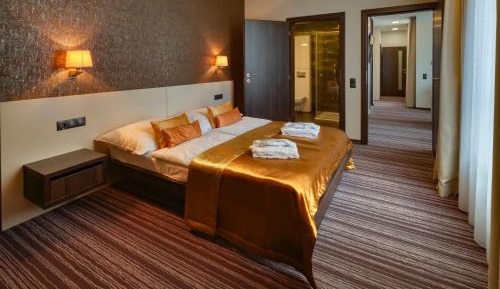 Deluxe Suite (2 Adults + 2 Children)