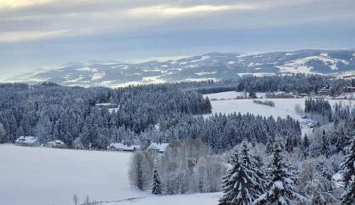 Apartment with Mountain View