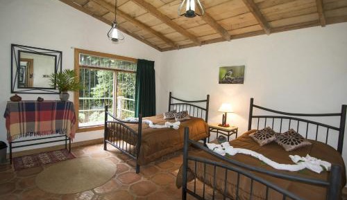 Superior Twin Room with Garden View