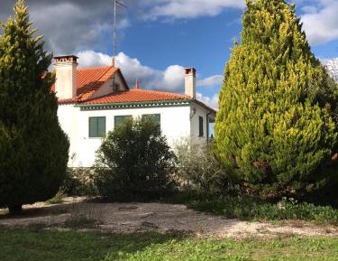 Superior Villa