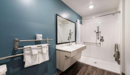 QUEEN SUITE W DISHWASHER (DISHES/COOKWARE INCLUDED) ACCESSIBLE ROLL IN SHOWER