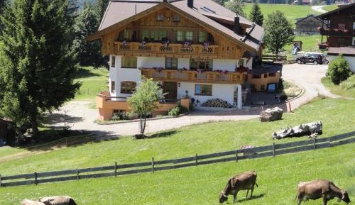 One-Bedroom Apartment with View