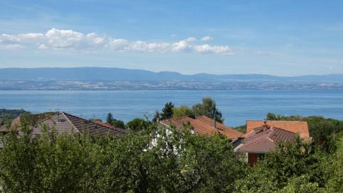 Double Room with Lake View
