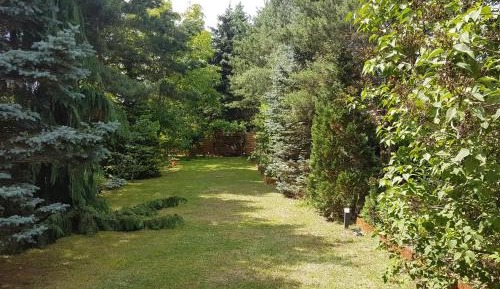 Apartment with Garden View
