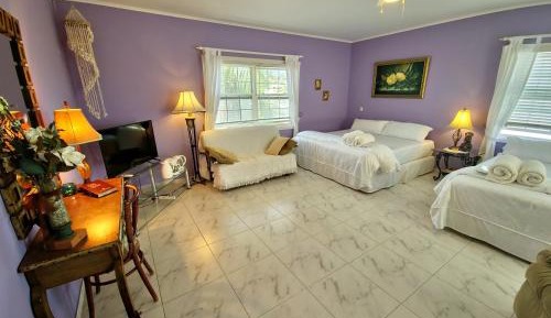 Adonai Suite 
