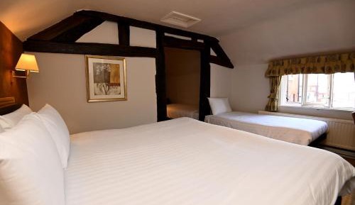 Standard Family Room