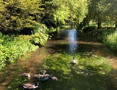 King Room - Kingsbridge House