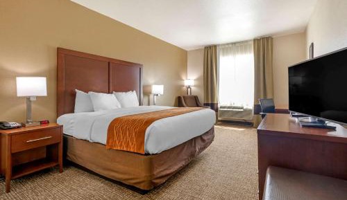 King Room Pet Friendly - Accessible/Non-Smoking
