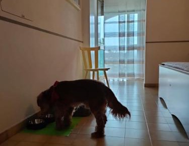 Double or Twin Room with Terrace