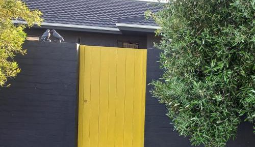 Suite with Mountain View