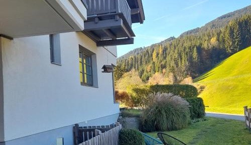 One-Bedroom Apartment with Shower