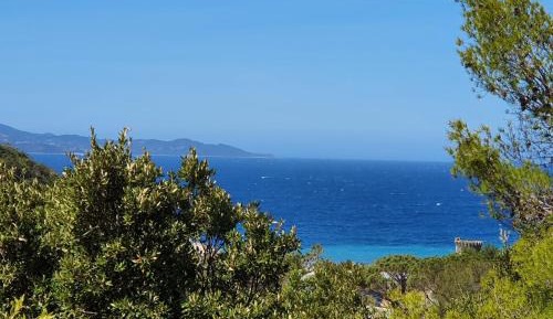 Superior Apartment (2 Adults)