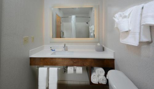 King Room with Mobility Accessible Roll-In Shower - Non-Smoking