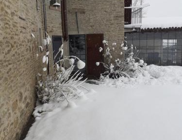 Apartment with Garden View