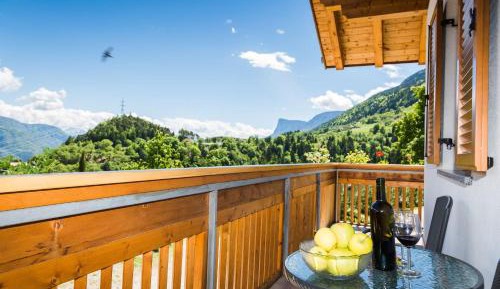 Superior One-Bedroom Apartment with Balcony