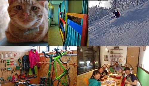 Bunk Bed in Mixed Dormitory Room