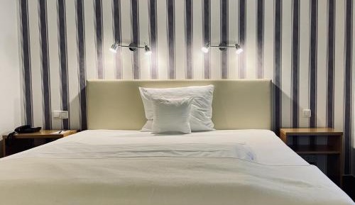 Standard Double Room for Single Use