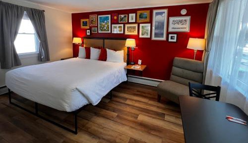 Dog-Friendly King Room