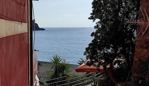 Superior One-Bedroom Apartment with Balcony