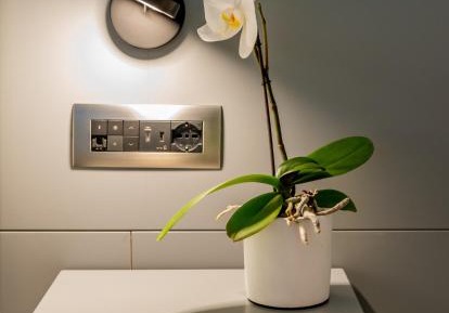 Deluxe Junior Suite