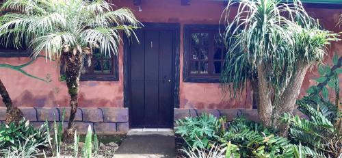 Basic Triple Room
