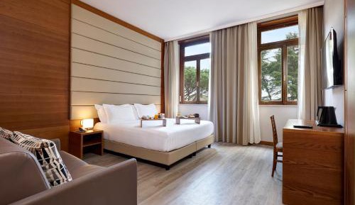 Deluxe  Executive  Double or Twin Room