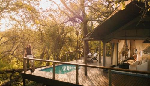 Luxury Tent 3 with Plunge Pool-Safari Package