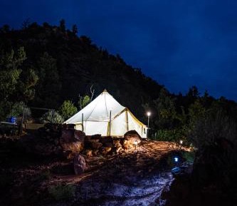 King Tent