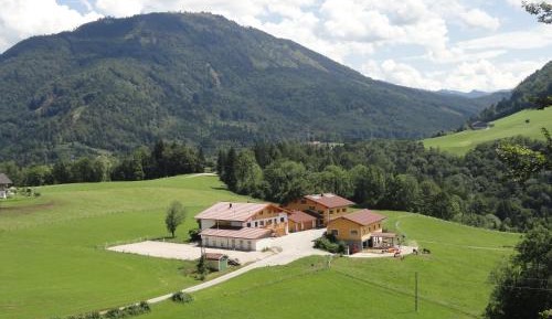 Two-Bedroom Apartment with Balcony without Breakfast