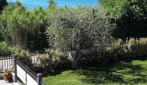 Double or Twin Room with Balcony